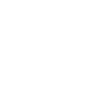 Aliru Icon Integration