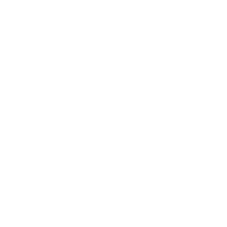 Aliru Icon Gannt