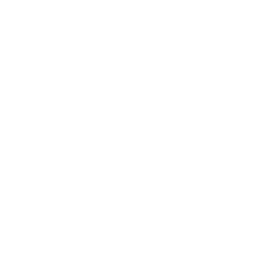 Aliru Icon Statistik Wht