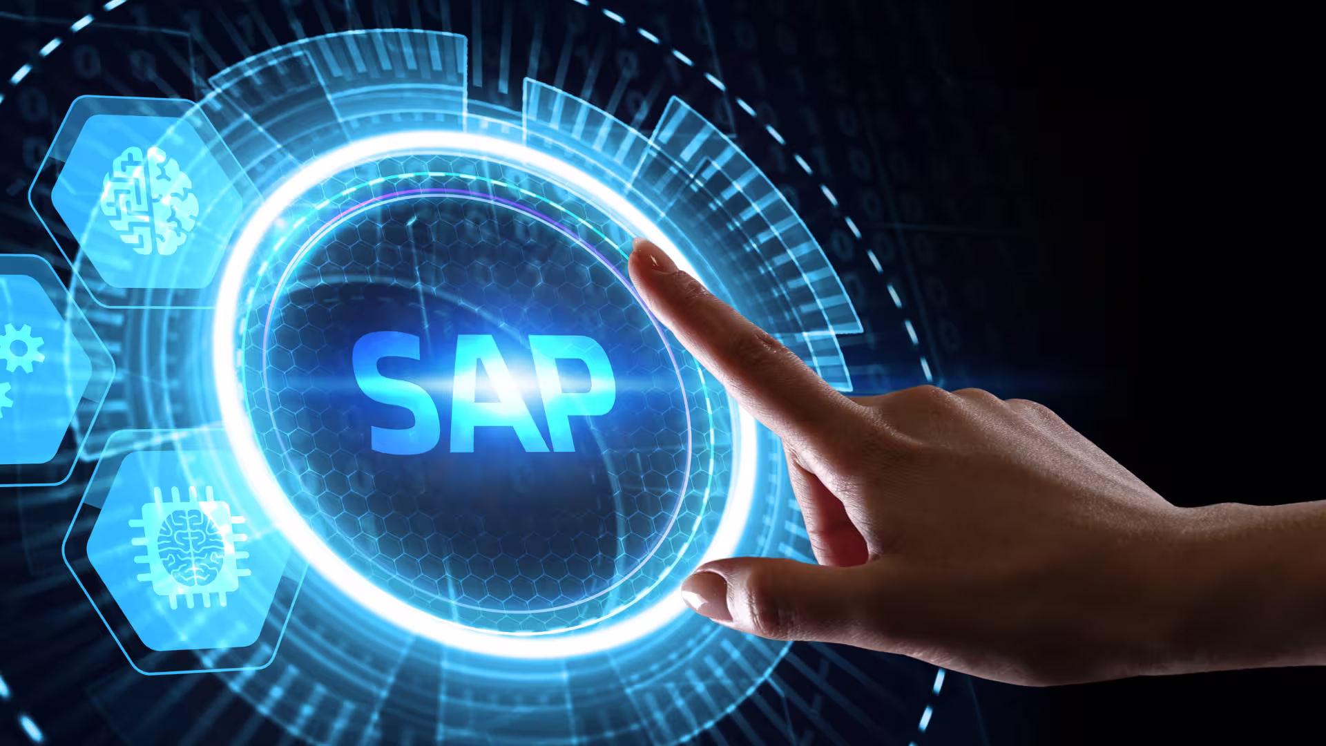 Anpassbarkeit von SAP