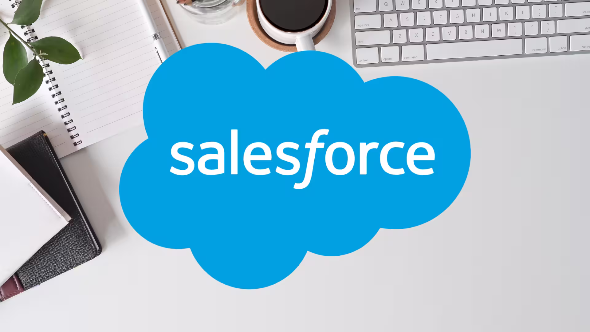Salesforce Alternativen – Die besten CRM-Systeme im Vergleich