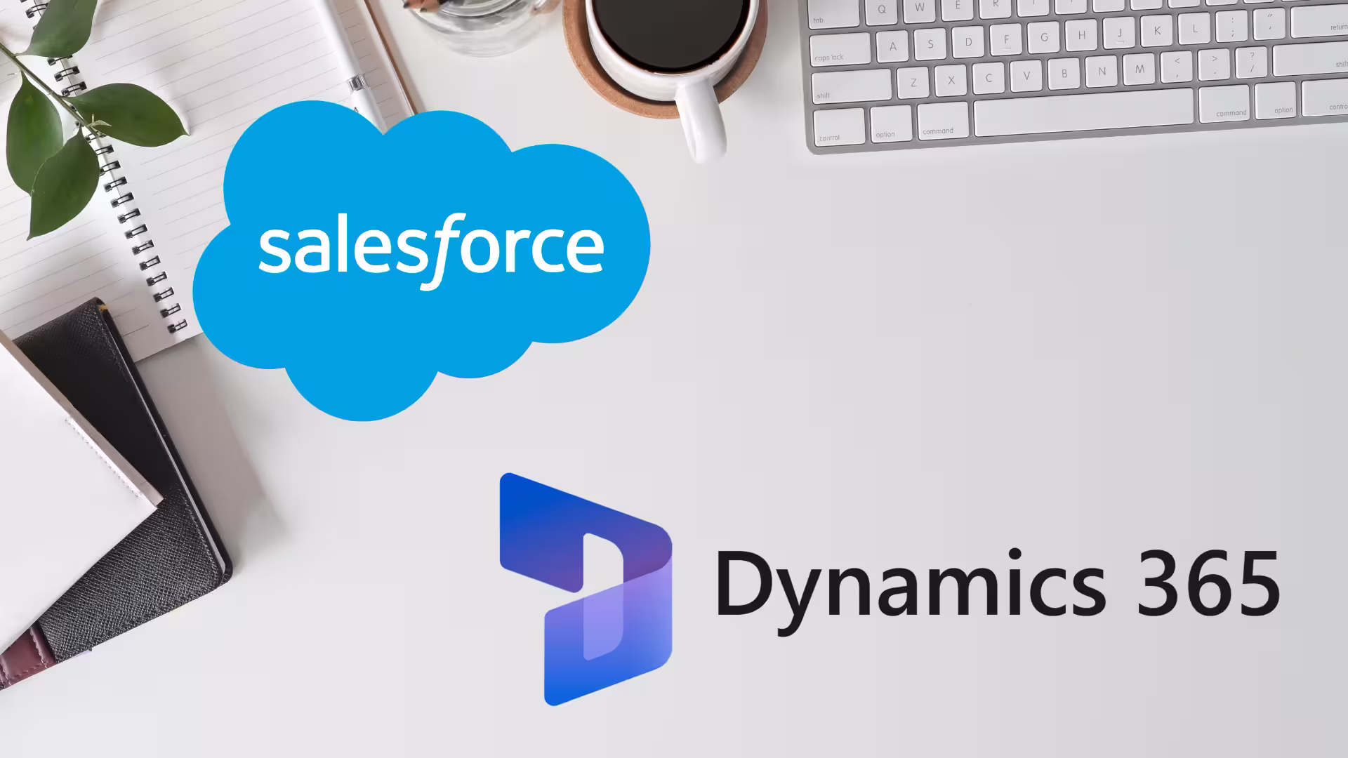 Salesforce vs Microsoft Dynamics 365: Das optimale CRM-System