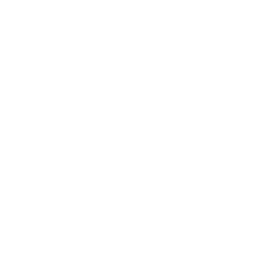 shield 1